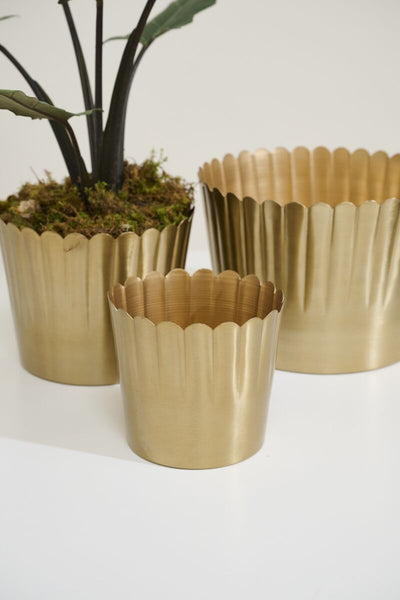 Brushed Gold Metal Planter