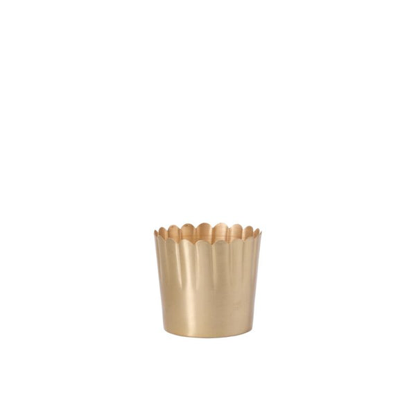 Brushed Gold Metal Planter