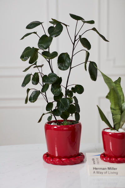 Red Glossy Planter with Saucer